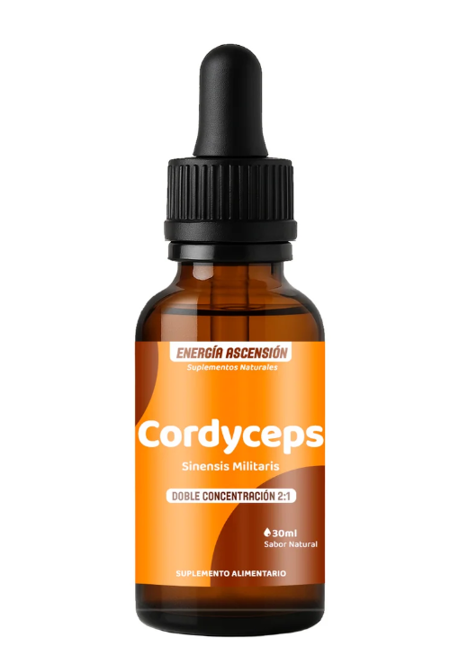 Extracto de Cordyceps